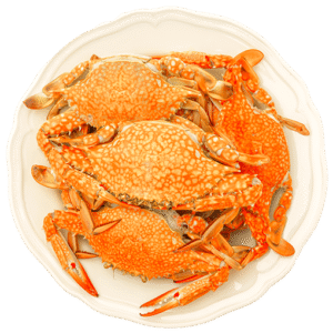 Steamed Crabs Dish